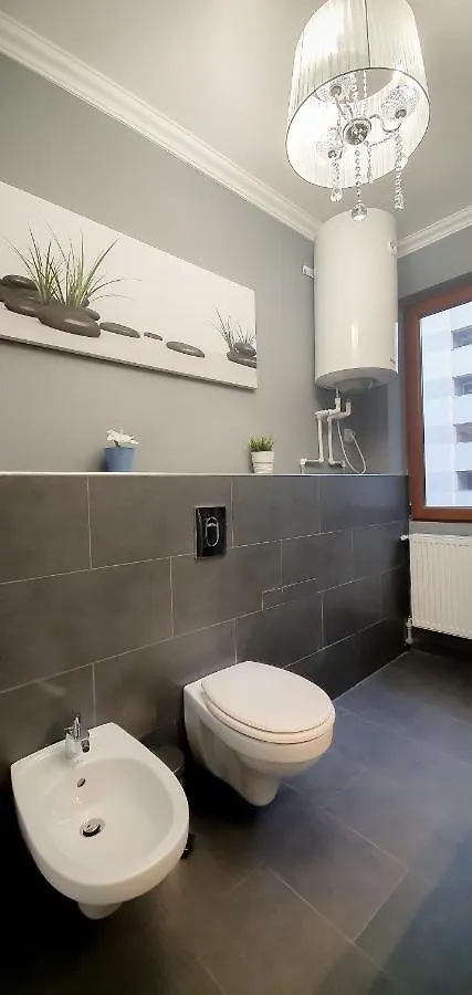 Luxury Down Town Daire Bükreş